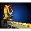 北京深隆STMD3001碼垛機器人 可訂制 北京